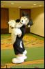 [RyuRaccoon FC2008 0346]