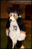 [RyuRaccoon FC2008 0348]