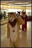 [RyuRaccoon FC2008 0351]