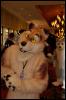 [RyuRaccoon FC2008 0378]