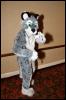 [RyuRaccoon FC2008 0410]