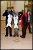 [RyuRaccoon FC2008 0413]