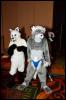 [RyuRaccoon FC2008 0463]