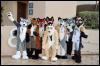 [RyuRaccoon FC2008 0520]