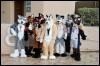 [RyuRaccoon FC2008 0523]