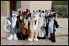 [RyuRaccoon FC2008 0524]