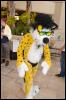 [RyuRaccoon FC2008 0607]