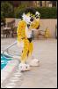 [RyuRaccoon FC2008 0609]