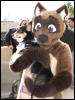 [BaltoWoof FC2008 141]