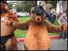 [BaltoWoof FC2008 113]