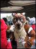 [BaltoWoof FC2008 121]