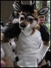 [BaltoWoof FC2008 128]