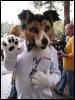 [BaltoWoof FC2008 135]