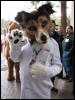 [BaltoWoof FC2008 136]