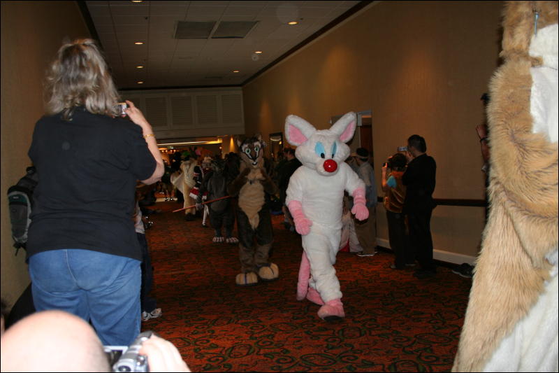 [Furry-K9_FC2008_017.jpg]