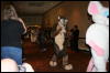 [Furry-K9 FC2008 018]