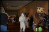 [Furry-K9 FC2008 025]