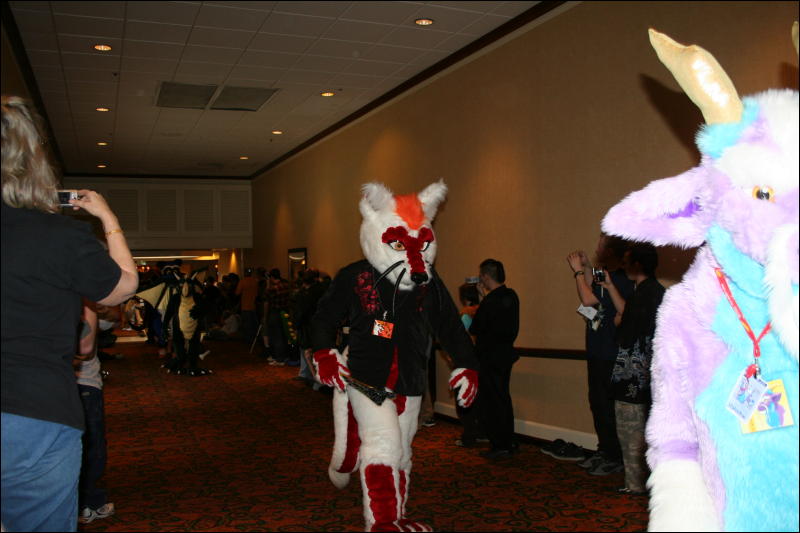 [Furry-K9_FC2008_029.jpg]