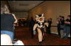 [Furry-K9 FC2008 035]