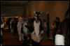 [Furry-K9 FC2008 051]