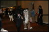 [Furry-K9 FC2008 062]