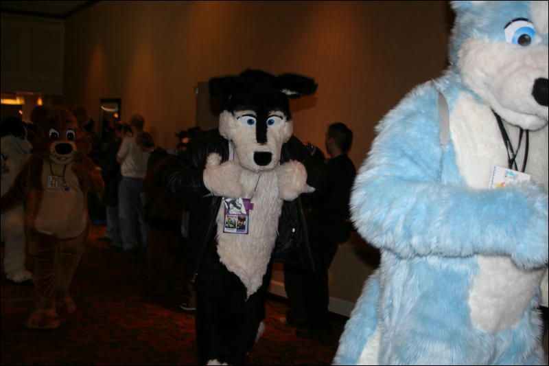 [Furry-K9_FC2008_067.jpg]