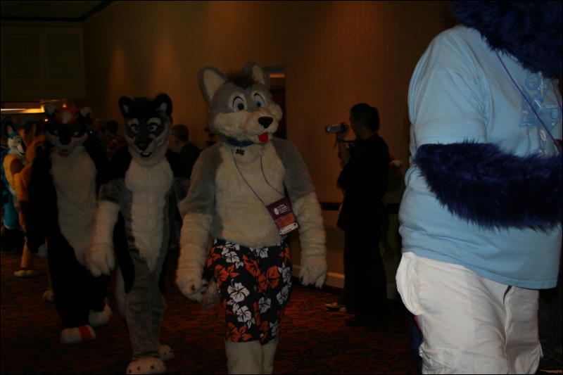 [Furry-K9_FC2008_084.jpg]