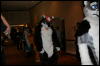 [Furry-K9 FC2008 086]