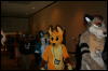 [Furry-K9 FC2008 088]