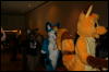 [Furry-K9 FC2008 089]