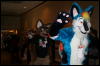 [Furry-K9 FC2008 090]