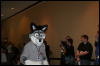 [Furry-K9 FC2008 103]