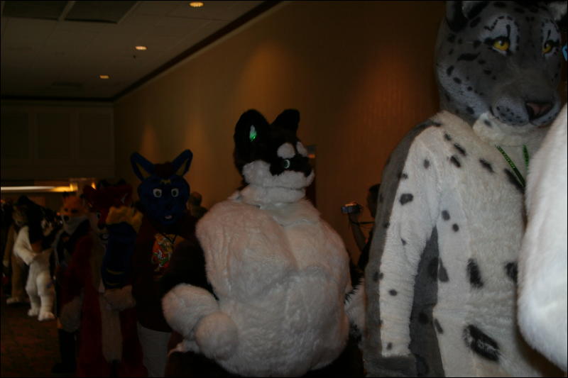 [Furry-K9_FC2008_116.jpg]