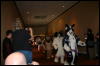 [Furry-K9 FC2008 124]