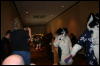 [Furry-K9 FC2008 125]