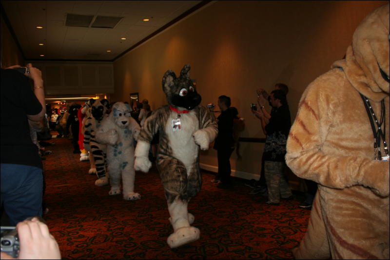 [Furry-K9_FC2008_152.jpg]