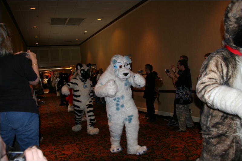 [Furry-K9_FC2008_153.jpg]