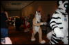 [Furry-K9 FC2008 155]