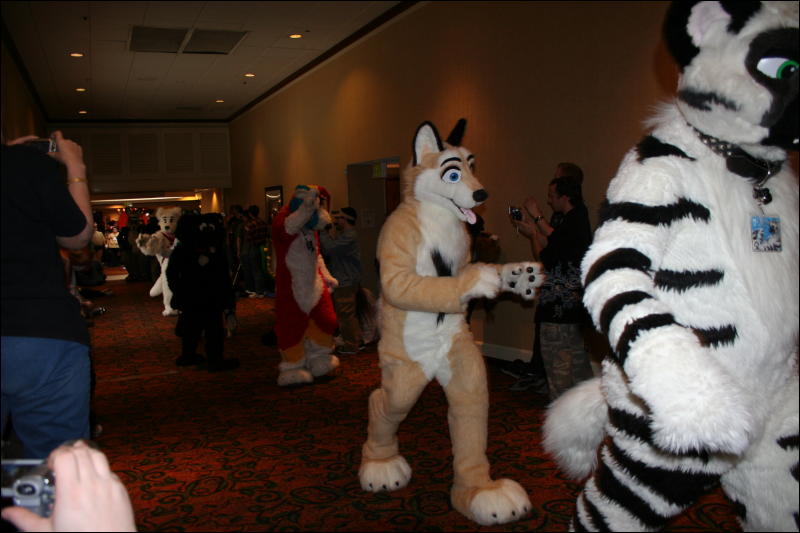 [Furry-K9_FC2008_155.jpg]