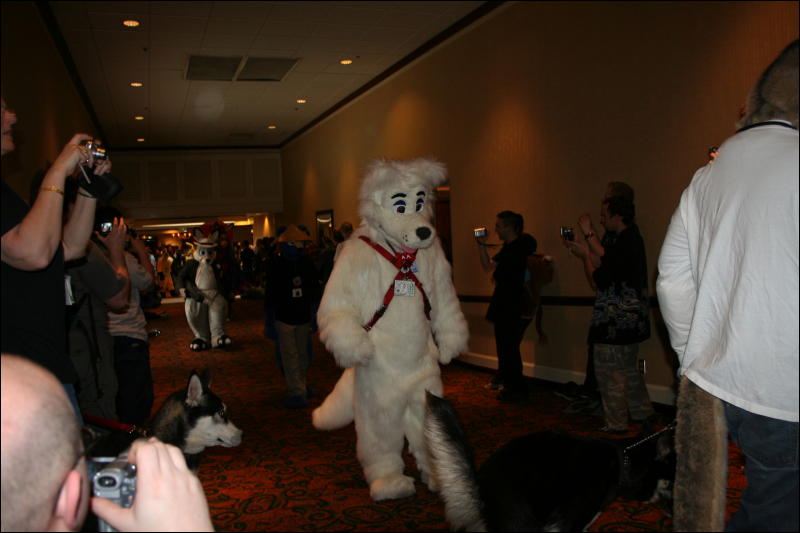 [Furry-K9_FC2008_160.jpg]