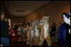 [Furry-K9 FC2008 173]