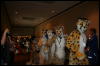 [Furry-K9 FC2008 174]