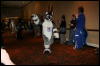 [Furry-K9 FC2008 180]