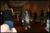 [Furry-K9 FC2008 187]