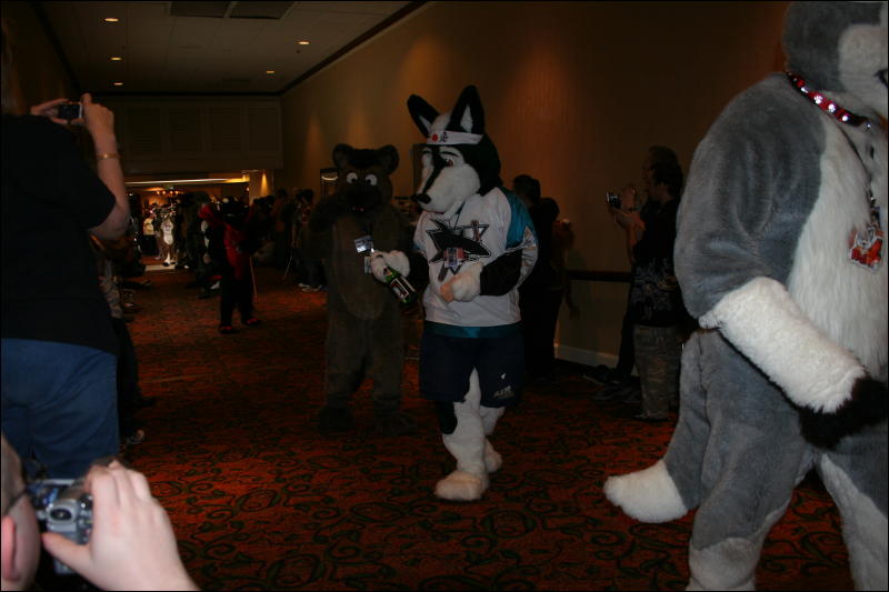 [Furry-K9_FC2008_204.jpg]