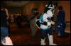 [Furry-K9 FC2008 205]