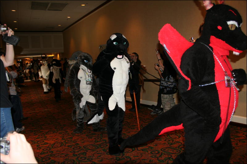 [Furry-K9_FC2008_207.jpg]