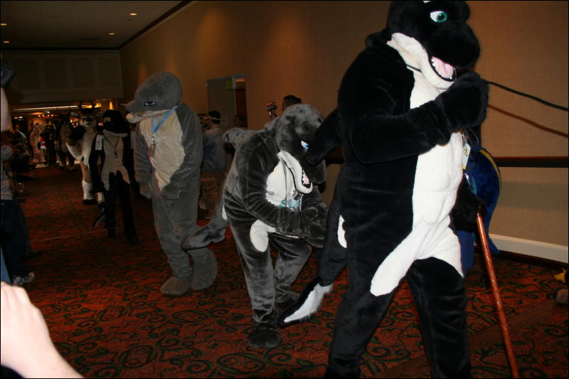 [Furry-K9_FC2008_208.jpg]