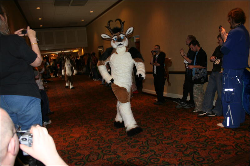 [Furry-K9_FC2008_211.jpg]