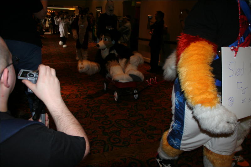 [Furry-K9_FC2008_224.jpg]